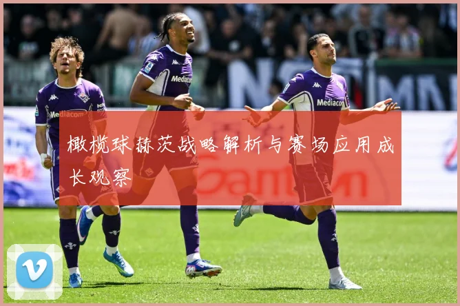 橄榄球赫茨战略解析与赛场应用成长观察