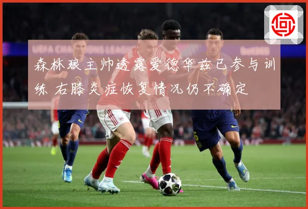 森林狼主帅透露爱德华兹已参与训练 右膝炎症恢复情况仍不确定