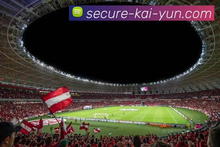 开云平台展示图