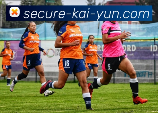 开云APP引领数字娱乐新趋势打造全方位智能互动体验平台