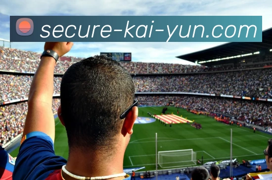 开云官网全站App